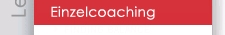 Einzelcoaching